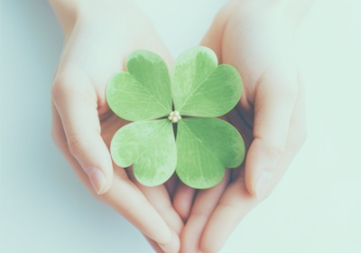 スクールランチ