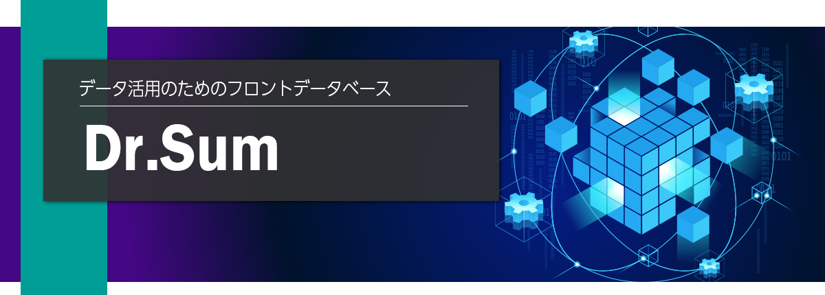 データ活用のためのフロントデータベース　Dr.sum