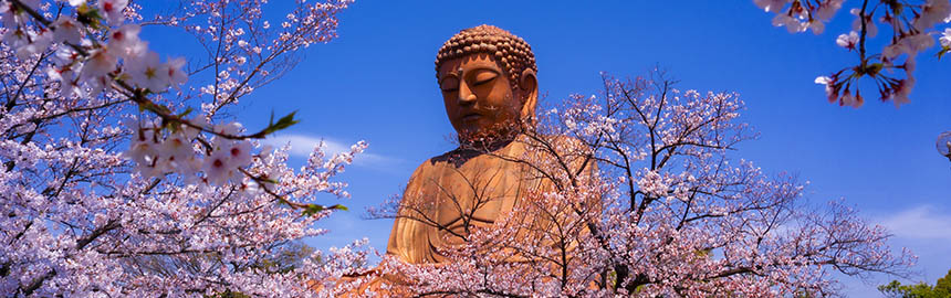 東海市 聚楽園 大仏の写真