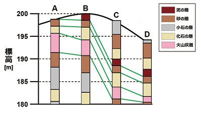 授業で使用した教材（柱状図）のイメージ