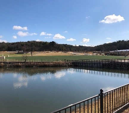 池と芝生広場