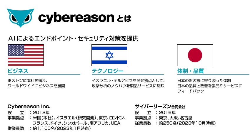 サイバーリーズンとは