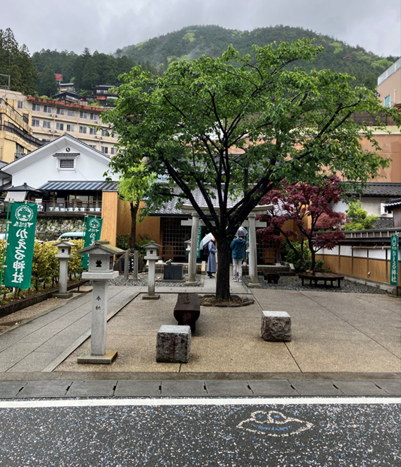 kaeru