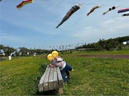 koinobori